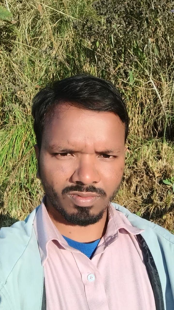 my image